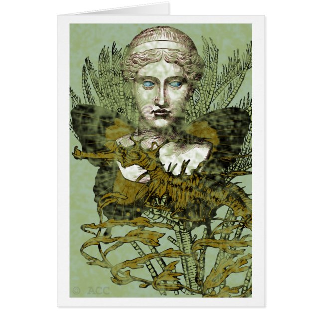 Fairies of the Sea (Front)