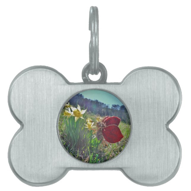 Fairy and yellow flowers pet tag (Front)