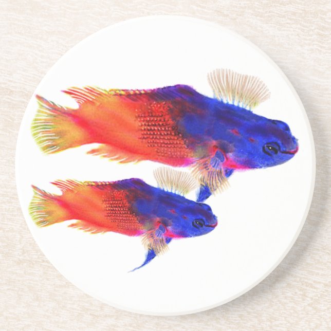 Fairy Baselet Coaster (Front)