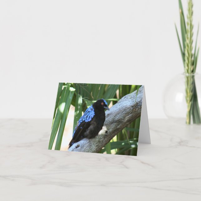 Fairy Bluebird Photo Folded Note Card (Front)