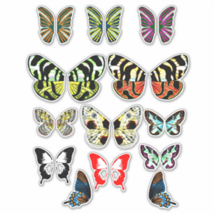 Fairy Butterfly Wings Art scrapbooking