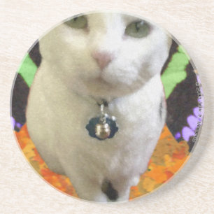 Fairy Cat Coaster