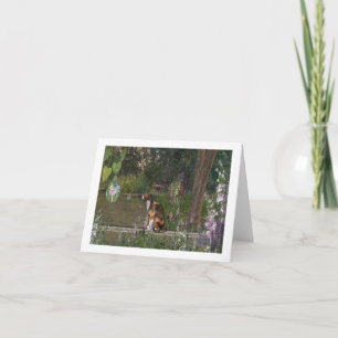 Fairy dew drop Note card