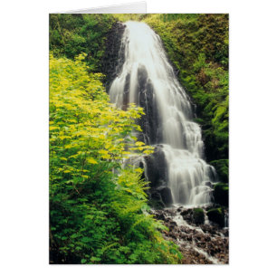 Fairy Falls