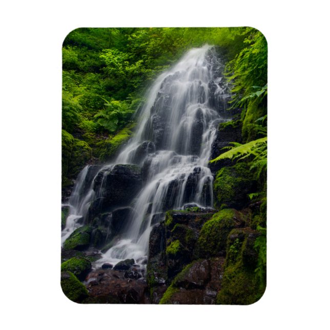 Fairy Falls | Colombia River Gorge Oregon. Magnet (Vertical)