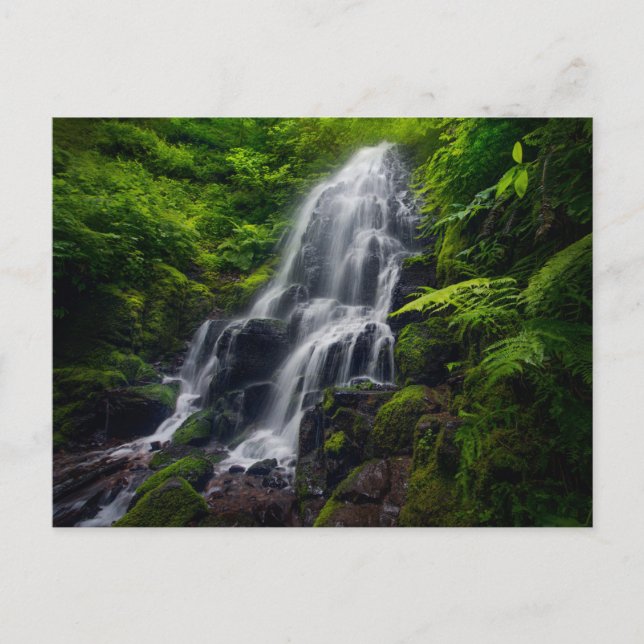 Fairy Falls | Colombia River Gorge Oregon. Postcard (Front)
