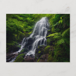 Fairy Falls   Colombia River Gorge Oregon. Postcard