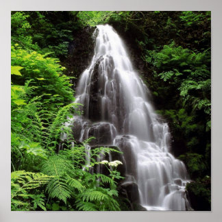 Fairy Falls Poster