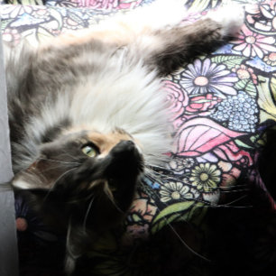 Fairy Garden Gardening Flower Gardens Fairies      Fleece Blanket