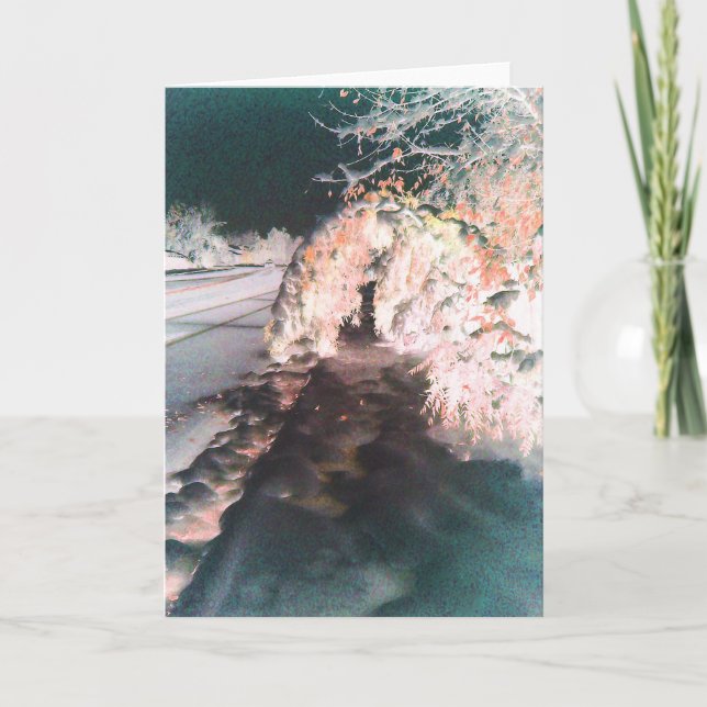 Fairy Glow Orange Greeting Card (Front)