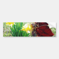 Fairy in the Daffodils