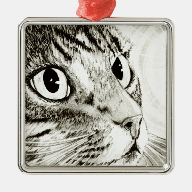 Fairy Light Tabby Cat Fantasy Art Ornament (Front)