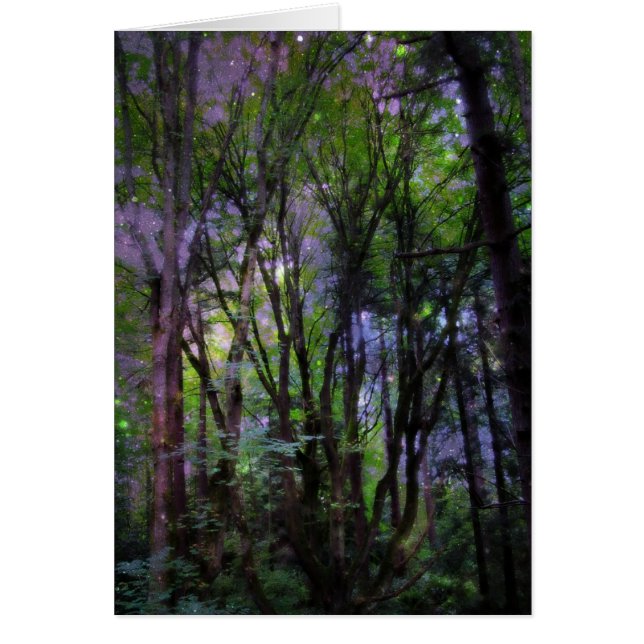 Fairy Lights Surreal Forest (Front)
