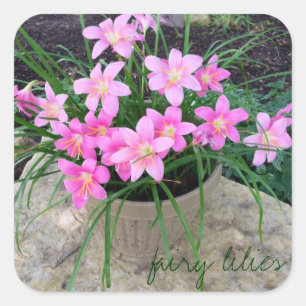 Fairy Lily Stickers