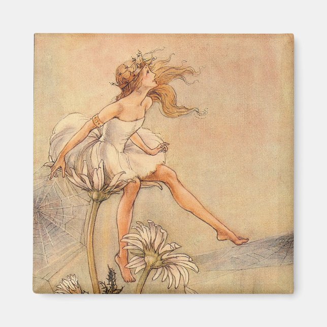 Fairy on a Daisy - Magnet (Front)