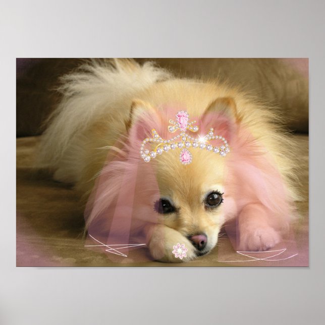 fairy princess dog with diamond crown poster (Front)