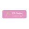 Fairy Princess Wand Return Address Labels