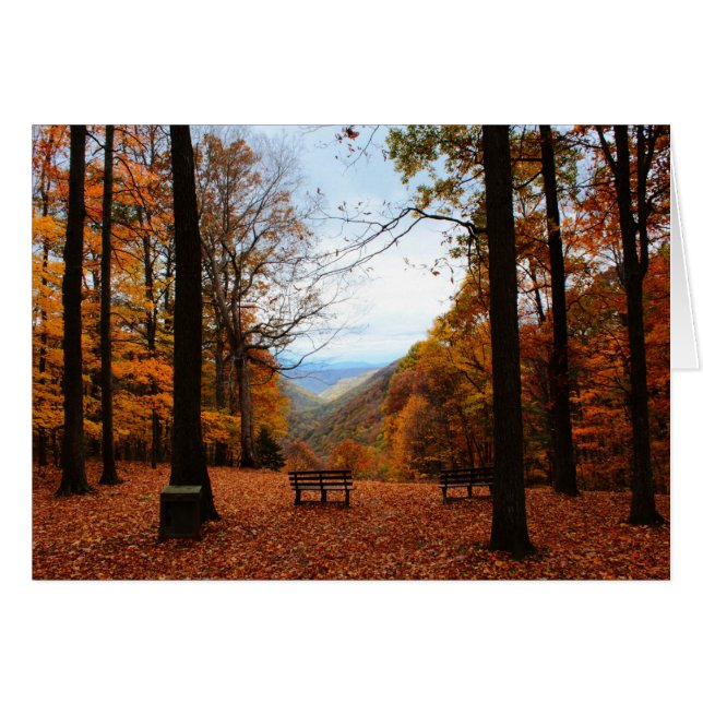 Fairy-tale fall (Front Horizontal)