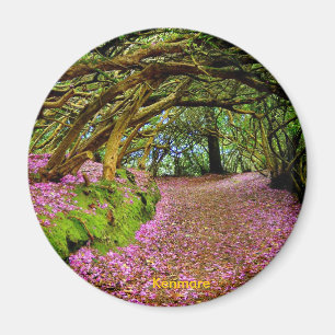 Fairy Tunnel, Kenmare Magnet