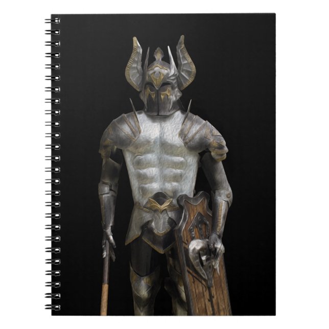 Fairy warrior spiral notebook (Front)