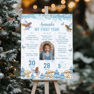 Fairy Winter Wonderland First Year Photo Milestone Poster