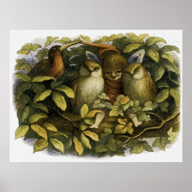 "Fairy with Owls" by Doyle - Print (Front)