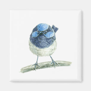 Fairy wren magnet