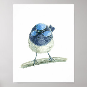 Fairy wren poster