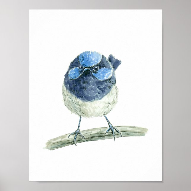 Fairy wren poster (Front)