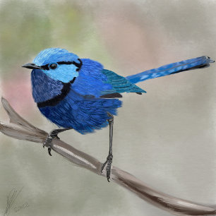 Fairy Wren tote bag 
