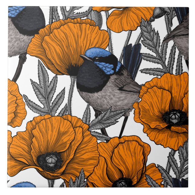 Fairy wrens and orange poppy flowers 2 tile (Front)