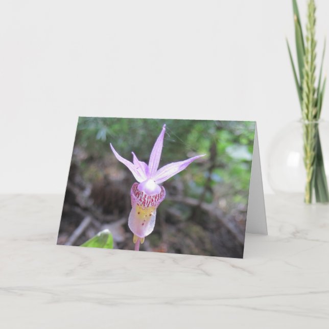 Fairyslipper Orchid Flower Card (Front)
