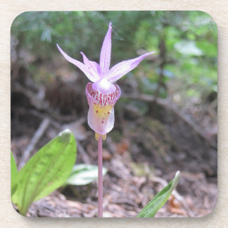 Fairyslipper Orchid Flower Coaster