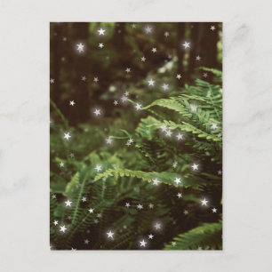Fairytale ferns in the forest stars cottagecore  postcard