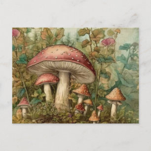 Fairytale Mushrooms Postcard