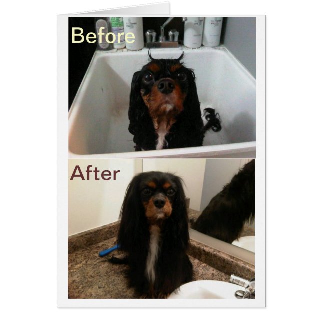 FAITH BEFORE AND AFTER (Front)