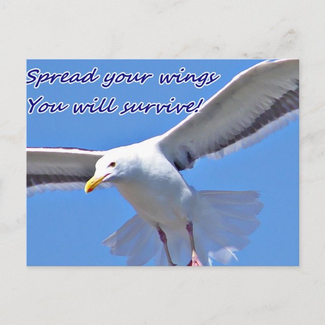 Faith & Strength_ Postcard (Front)