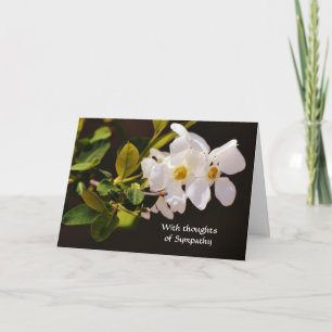 Faith White Blossom Flowers Sympathy Card