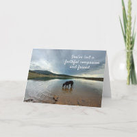 Faithful Companion Loss of Dog Sympathy Card