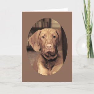 Faithful Friend Card