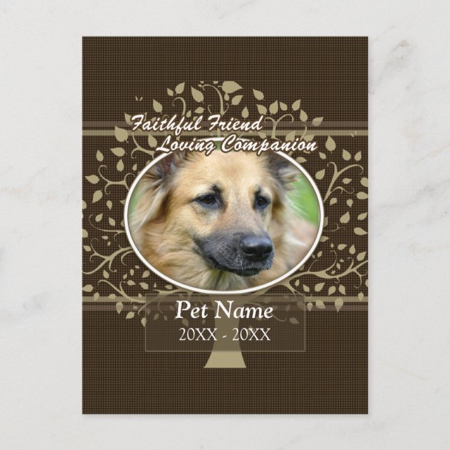 Faithful Friend Custom Pet Sympathy Postcard (Front)