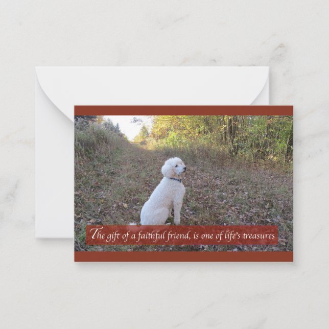 Faithful Friend Poodle Note Card (Front)
