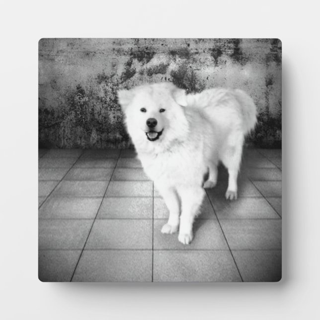 Faithful Love Plaque (Front)