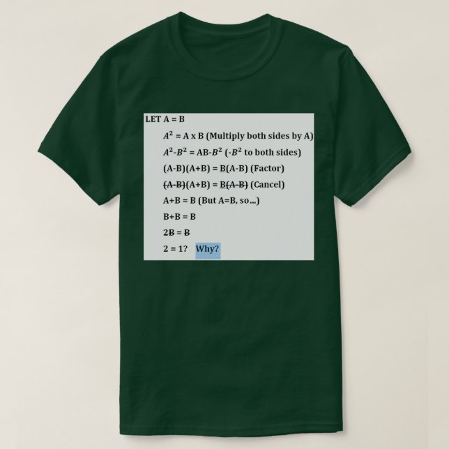 Fake Math Proof Of T-Shirt (Design Front)