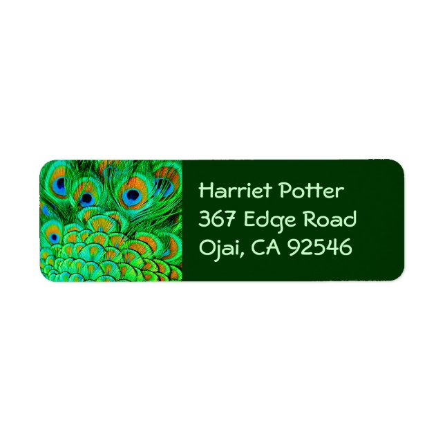 Fake Peacock Feathers Abstract Nature Pattern (Front)