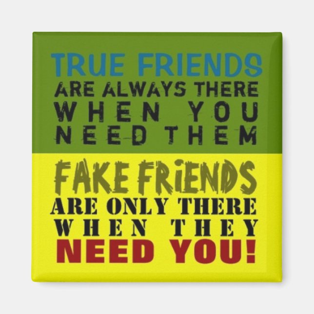 FAKE vs TRUE ~ Magnet Truism (Front)