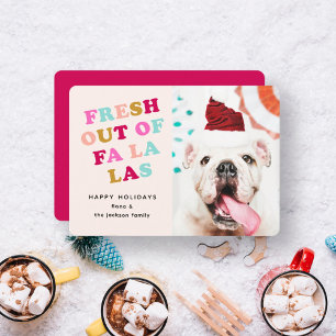 Falala Retro Christmas Holiday Pet Dog Cat Photo