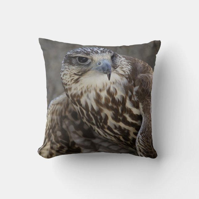 Falco cherrug cushion (Front)