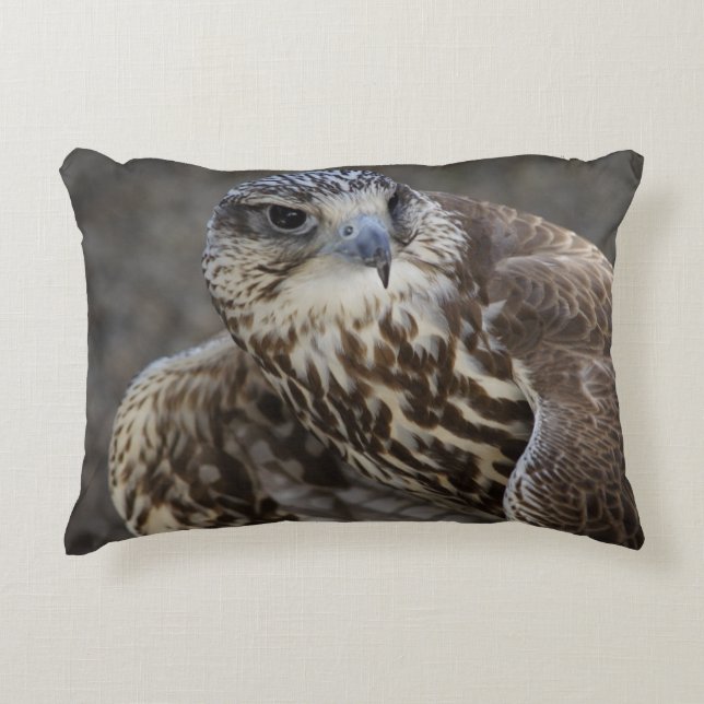 Falco cherrug decorative cushion (Front)