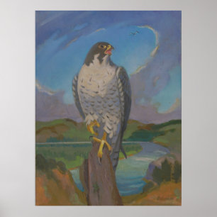 Falco Peregrinus – Peregrine Falcon by Kulhanek Poster